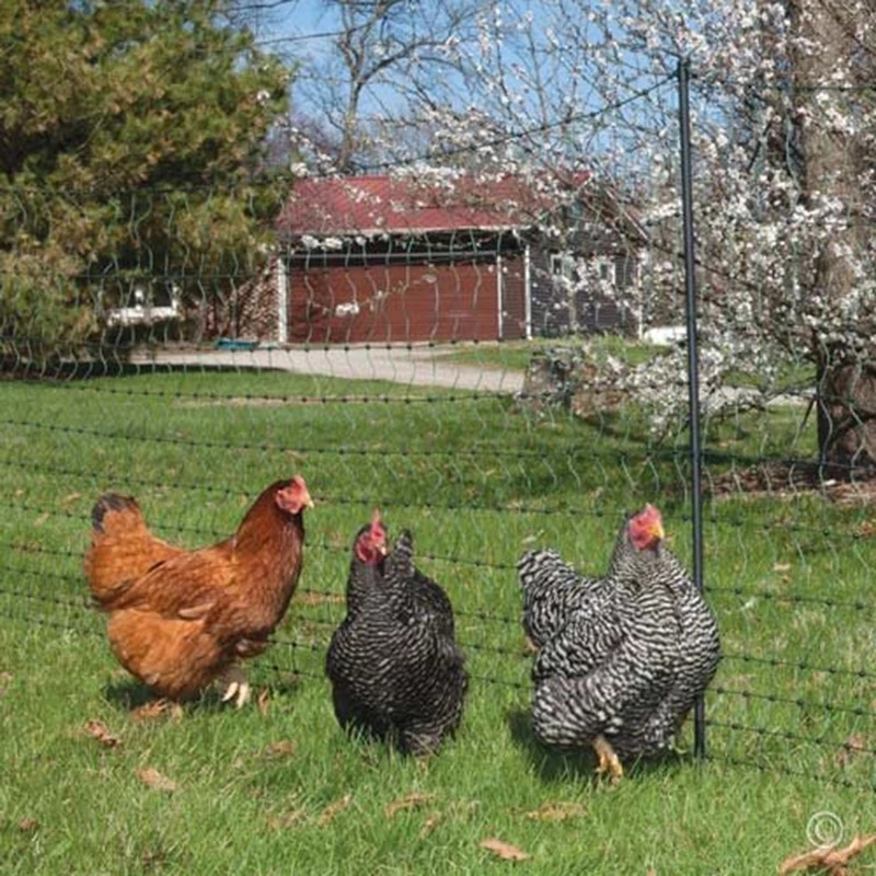 Protective Fence Net Anti-bird - огляд і ціна Kids Outdoor Net