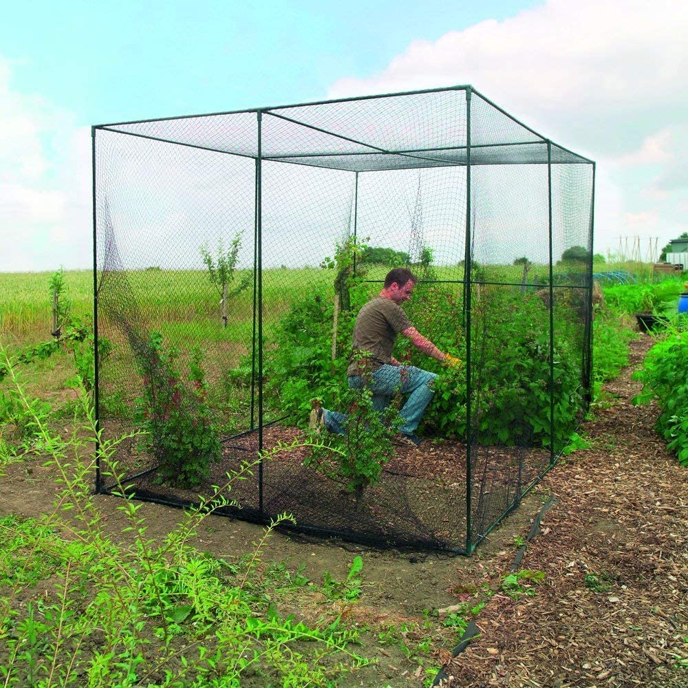 Heavy Duty Black Anti Bird Net - огляд і ціна Kids Outdoor Net