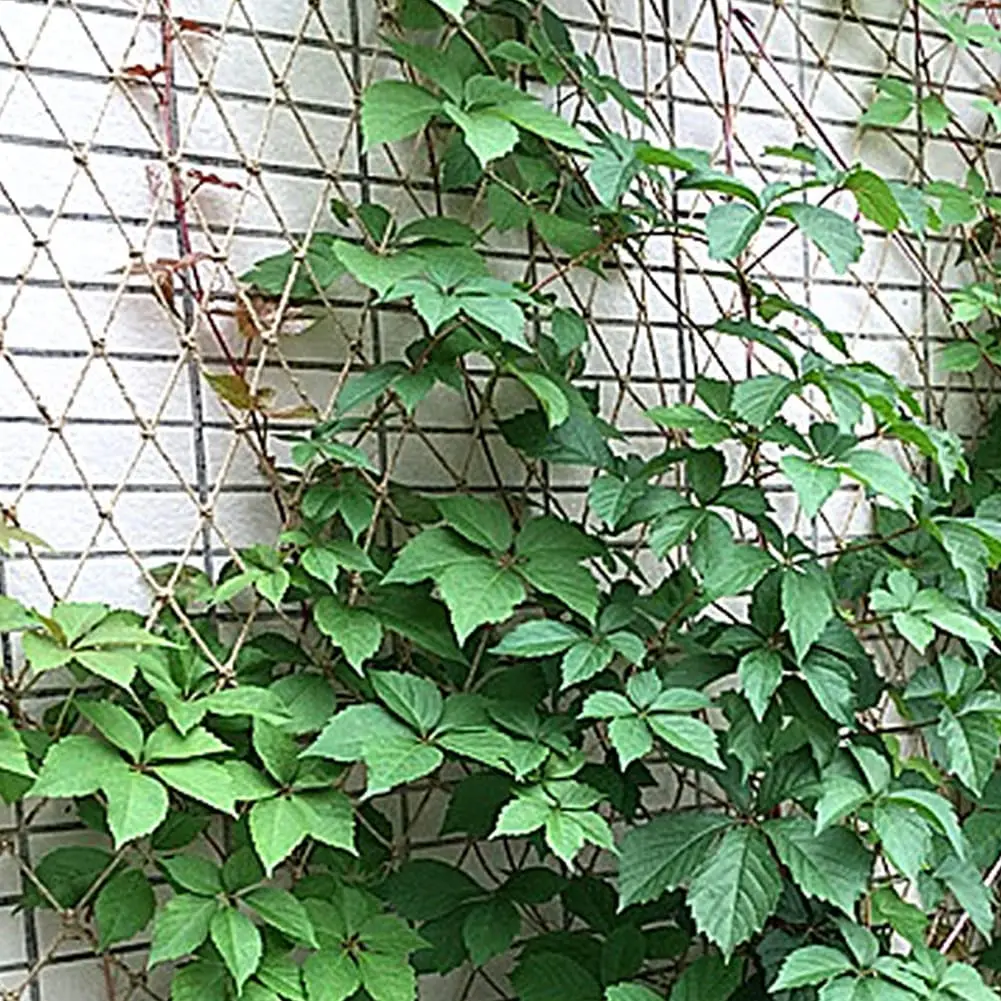 Plant Support Netting Natural  - огляд і ціна Kids Outdoor Net