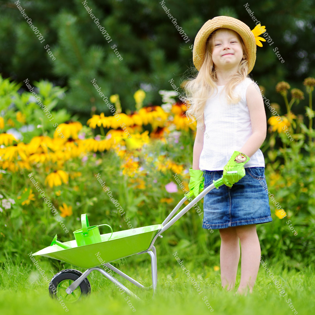 Kids Outdoor Wheelbarrow, Gree - огляд і ціна Kids Outdoor Play